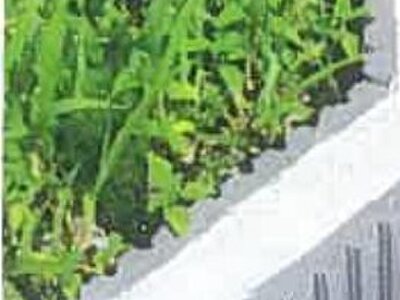 長野県諏訪市 茅野駅 戸建て 1,332万円の競売物件 #6