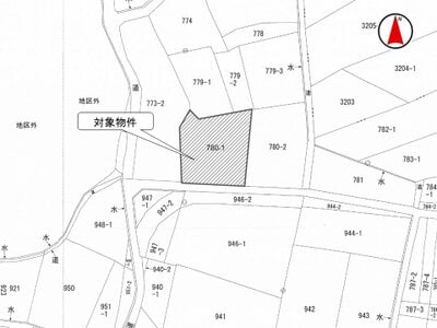 広島県山県郡北広島町 土地 243万円の国税庁公売物件 #3