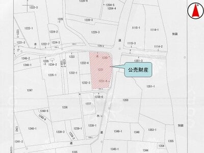 岡山県小田郡矢掛町 矢掛駅19分 戸建て 218万円の国税庁公売物件 #3