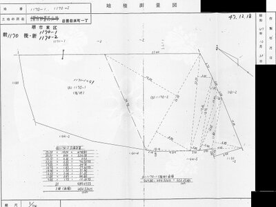 大阪府堺市東区 初芝駅3分 土地 1,146万円の国税庁公売物件 #2