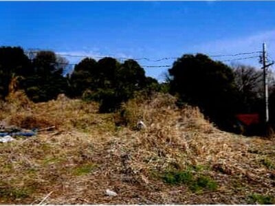 埼玉県桶川市 桶川駅 農地 76万円の競売物件 #6