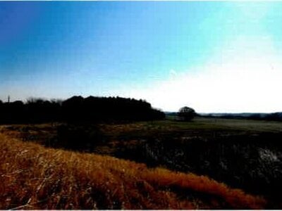 埼玉県桶川市 桶川駅 農地 44万円の競売物件 #1