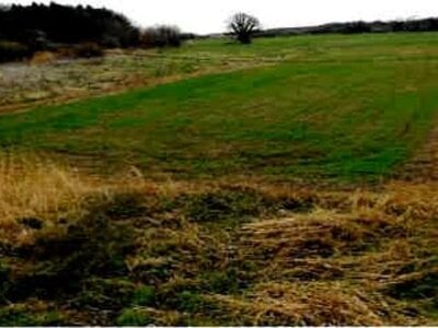 埼玉県桶川市 桶川駅 農地 44万円の競売物件 #2