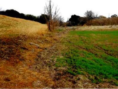 埼玉県桶川市 桶川駅 農地 44万円の競売物件 #4