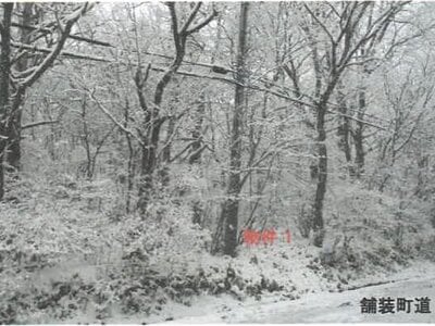 栃木県那須郡那須町 土地 108万円の競売物件 #3