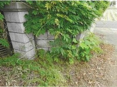 愛媛県新居浜市 多喜浜駅17分 戸建て 292万円の競売物件 #21