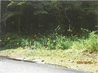 静岡県伊東市 伊豆大川駅 土地 487万円の競売物件 #1