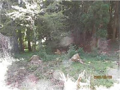 静岡県伊東市 伊豆大川駅 土地 487万円の競売物件 #11