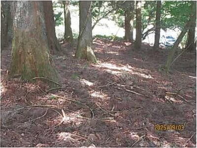 静岡県伊東市 伊豆大川駅 土地 487万円の競売物件 #12