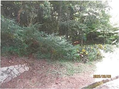 静岡県伊東市 伊豆大川駅 土地 487万円の競売物件 #3