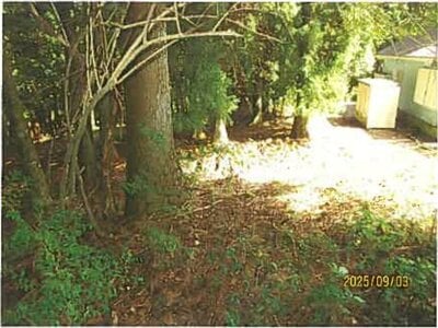 静岡県伊東市 伊豆大川駅 土地 487万円の競売物件 #5