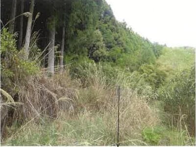 静岡県浜松市天竜区 地名駅 戸建て 107万円の競売物件 #8