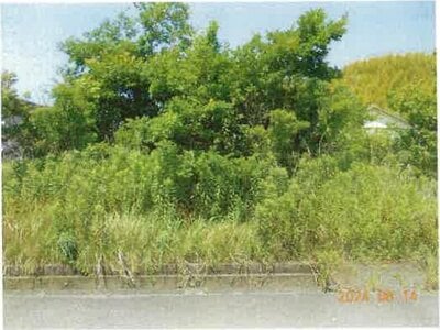 (値下げ) 静岡県浜松市中央区 舞阪駅30分 農地 68万円の競売物件 #2