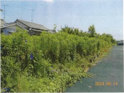 (値下げ) 静岡県浜松市中央区 舞阪駅30分 農地 68万円の競売物件 #4