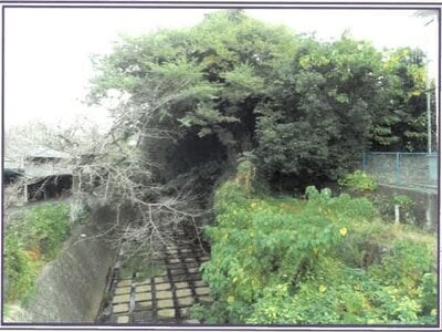 静岡県富士宮市 源道寺駅12分 戸建て 956万円の競売物件 #10