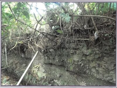 静岡県富士宮市 源道寺駅12分 戸建て 956万円の競売物件 #11