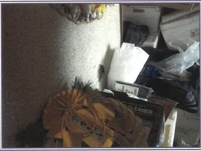 静岡県富士宮市 富士根駅14分 戸建て 519万円の競売物件 #8