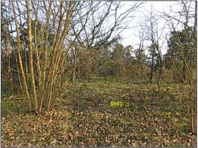 広島県府中市 府中駅11分 戸建て 775万円の競売物件 #21