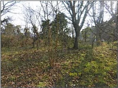 広島県府中市 府中駅11分 戸建て 775万円の競売物件 #22