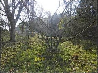 広島県府中市 府中駅11分 戸建て 775万円の競売物件 #23