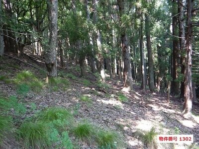 京都府綾部市 山家駅26分 土地 84万円の国有財産物件 #1