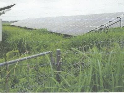 茨城県稲敷市 佐原駅 土地 403万円の競売物件 #2