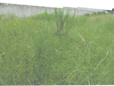 茨城県取手市 取手駅6分 土地 2,027万円の競売物件 #2