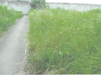 茨城県取手市 取手駅6分 土地 2,027万円の競売物件 #4