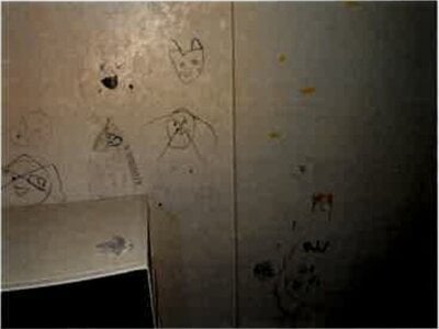 埼玉県川口市 戸塚安行駅30分 戸建て 704万円の競売物件 #5