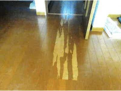 埼玉県志木市 志木駅27分 戸建て 874万円の競売物件 #5