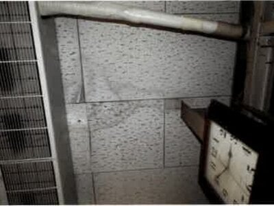 埼玉県久喜市 栗橋駅28分 戸建て 385万円の競売物件 #4