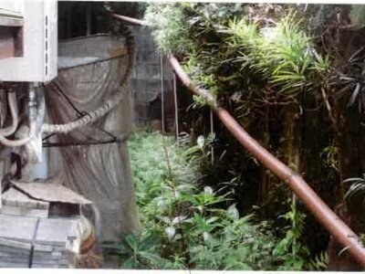 愛知県豊橋市 三河一宮駅29分 土地 440万円の競売物件 #8