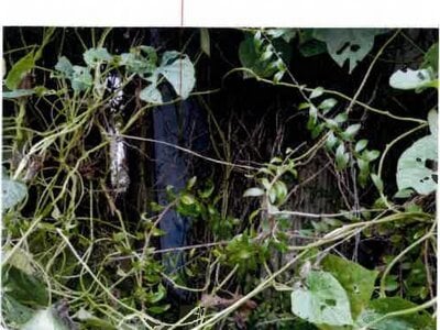 (値下げ) 愛知県豊川市 諏訪町駅7分 戸建て 590万円の競売物件 #3