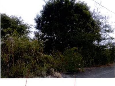 (値下げ) 愛知県豊川市 牛久保駅6分 農地 43万円の競売物件 #1