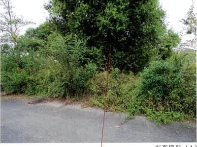 (値下げ) 愛知県豊川市 牛久保駅6分 農地 43万円の競売物件 #7