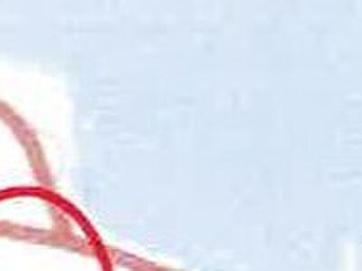 沖縄県国頭郡恩納村 土地 1,010万円の競売物件 #3