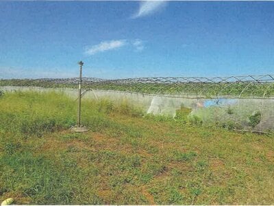 (値下げ) 沖縄県宮古島市 農地 139万円の競売物件 #3