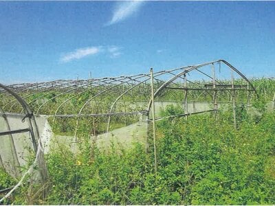 (値下げ) 沖縄県宮古島市 農地 139万円の競売物件 #6