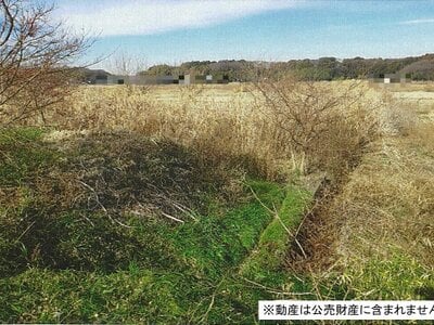 千葉県八千代市 八千代緑が丘駅22分 農地 9万円の国税庁公売物件 #2
