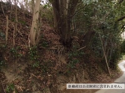 神奈川県横須賀市 衣笠駅 農地 11万円の国税庁公売物件 #1