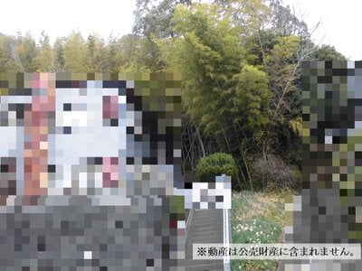 神奈川県横須賀市 衣笠駅 農地 11万円の国税庁公売物件 #2