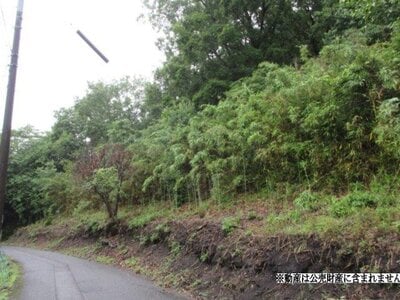 大分県豊後大野市 菅尾駅12分 土地 11万円の国税庁公売物件 #2