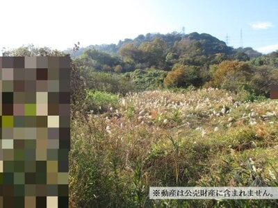 神奈川県横須賀市 衣笠駅 農地 14万円の国税庁公売物件 #1