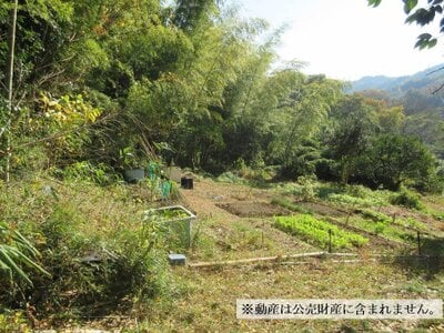 神奈川県横須賀市 衣笠駅 農地 34万円の国税庁公売物件 #1