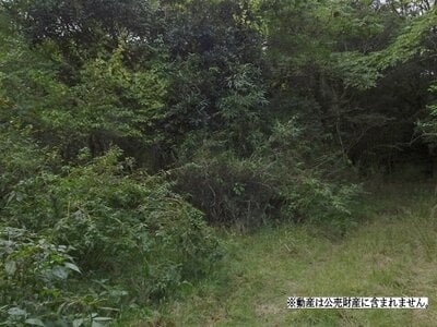 千葉県勝浦市 行川アイランド駅 土地 42万円の国税庁公売物件 #1