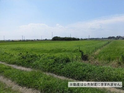 千葉県野田市 野田市駅13分 農地 70万円の国税庁公売物件 #2