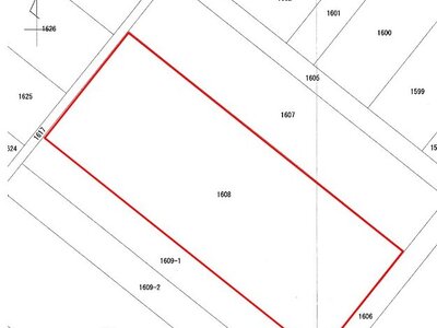 千葉県野田市 野田市駅13分 農地 70万円の国税庁公売物件 #3