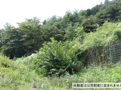 群馬県渋川市 金島駅 土地 85万円の国税庁公売物件 #1