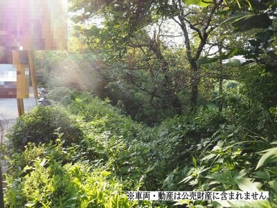 静岡県田方郡函南町 函南駅 土地 95万円の国税庁公売物件 #2