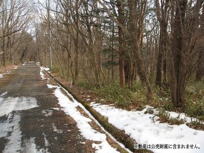 (値下げ) 栃木県那須郡那須町 土地 95万円の国税庁公売物件 #2